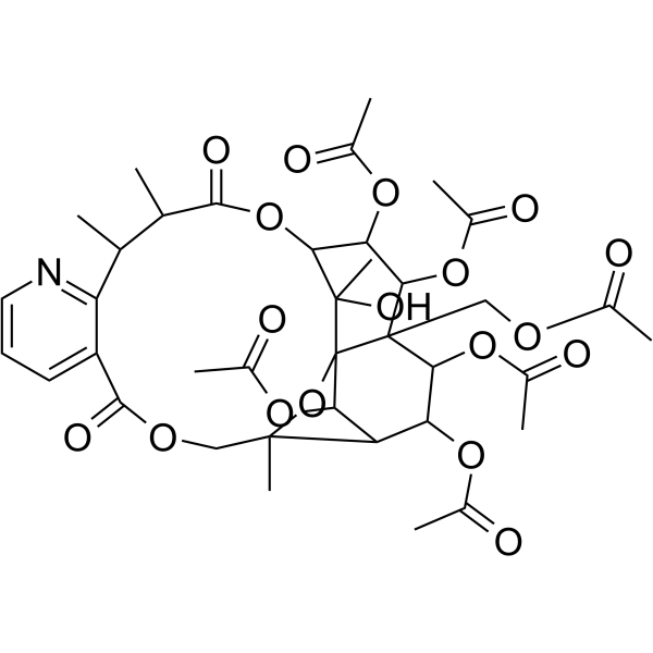 Euonymine 33458-82-1
